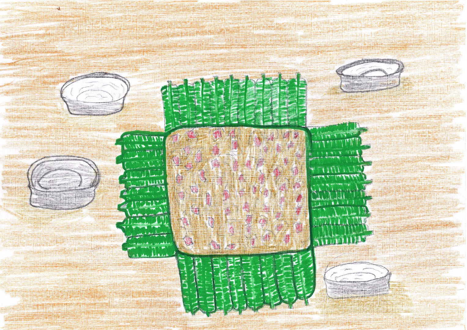 Desenho de Hélio Hawỳt